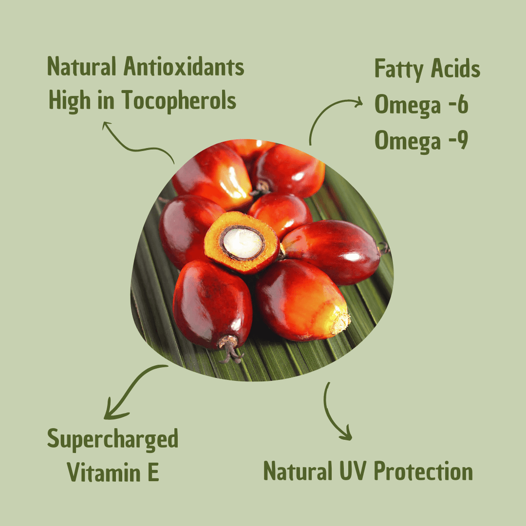 Batana Hair Oil – Ultimate Hydration, Strength & Protection for Healthy Hair | Omega Fatty Acids & Vitamin E